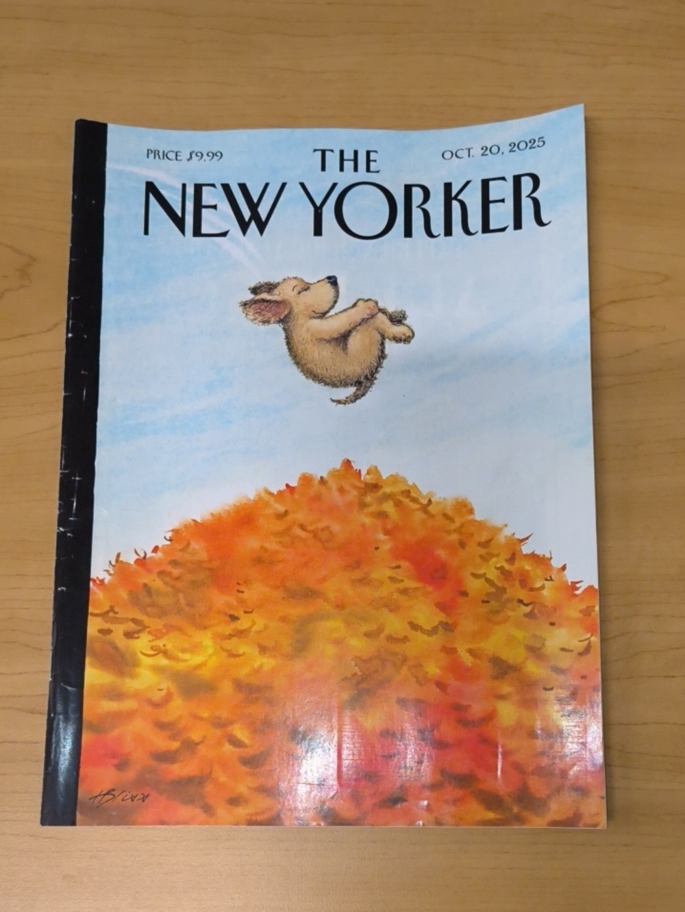 The New Yorker Magazine Harry Bliss’s “Cannonball” :Oct 20, 2025